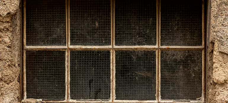 Traditional Double Front Doors in Lake Butler, FL