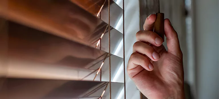 Double Roller Blinds in Lake Butler, FL