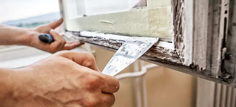 Exterior Window Frame Repair in Lake Butler, FL