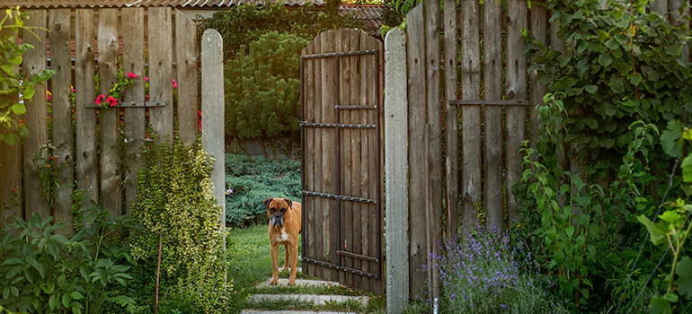 Winter Garden Garage Door Repair in Lake Butler,[location field=state]