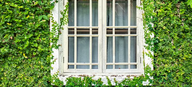 Garden Window Repair Near Me in Lake Butler, FL