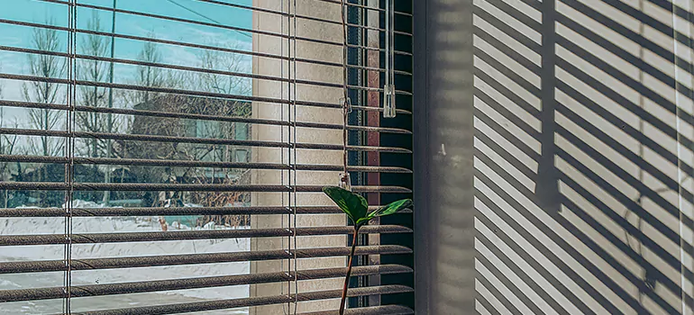 Commercial Window Blinds in Lake Butler, FL