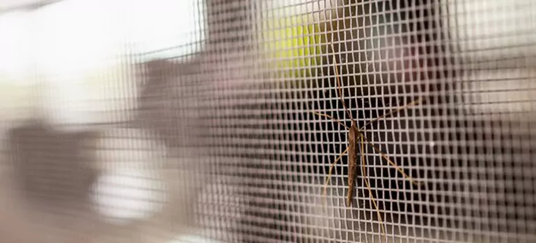 Repair Mosquito Mesh For Windows in Lake Butler, FL