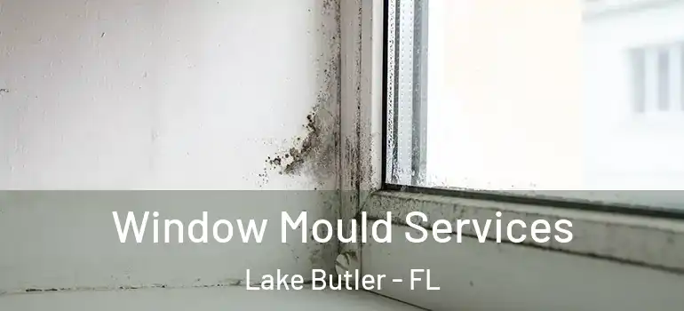 Window Mould Services Lake Butler - FL